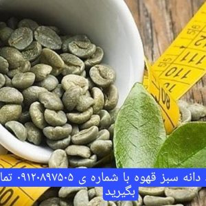 خرید عمده قهوه سبز