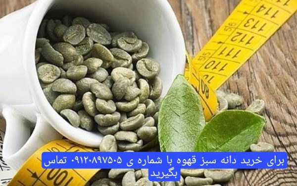 خرید عمده قهوه سبز